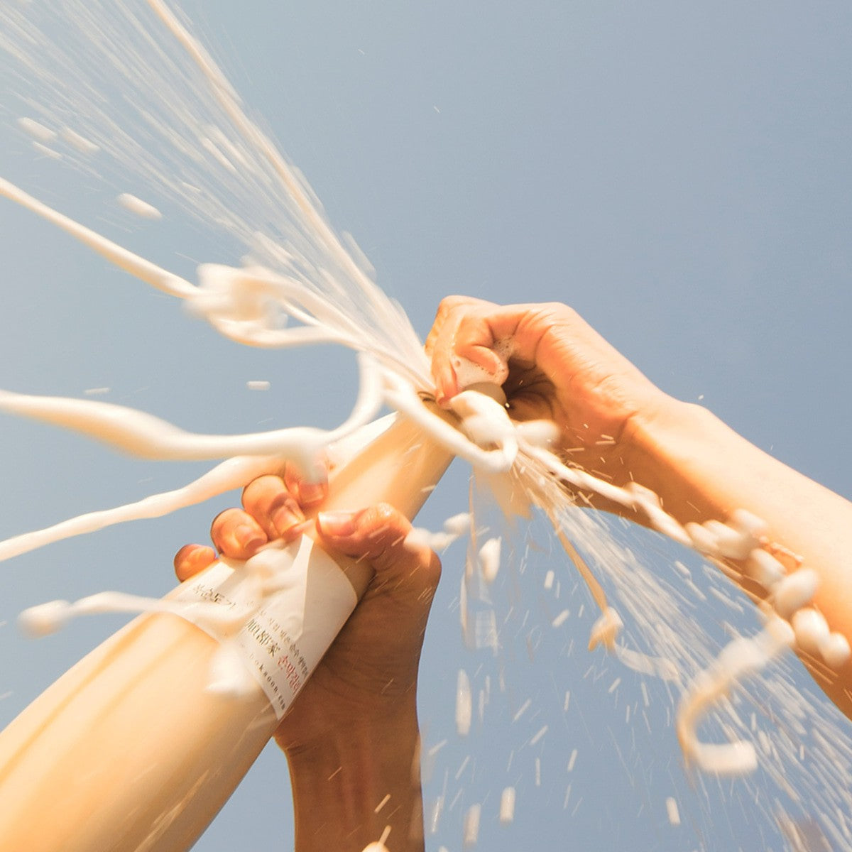 ボクソンドガ プレミアムマッコリ 紅白ギフト（白・赤 各935ml）